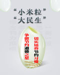 节约粮食