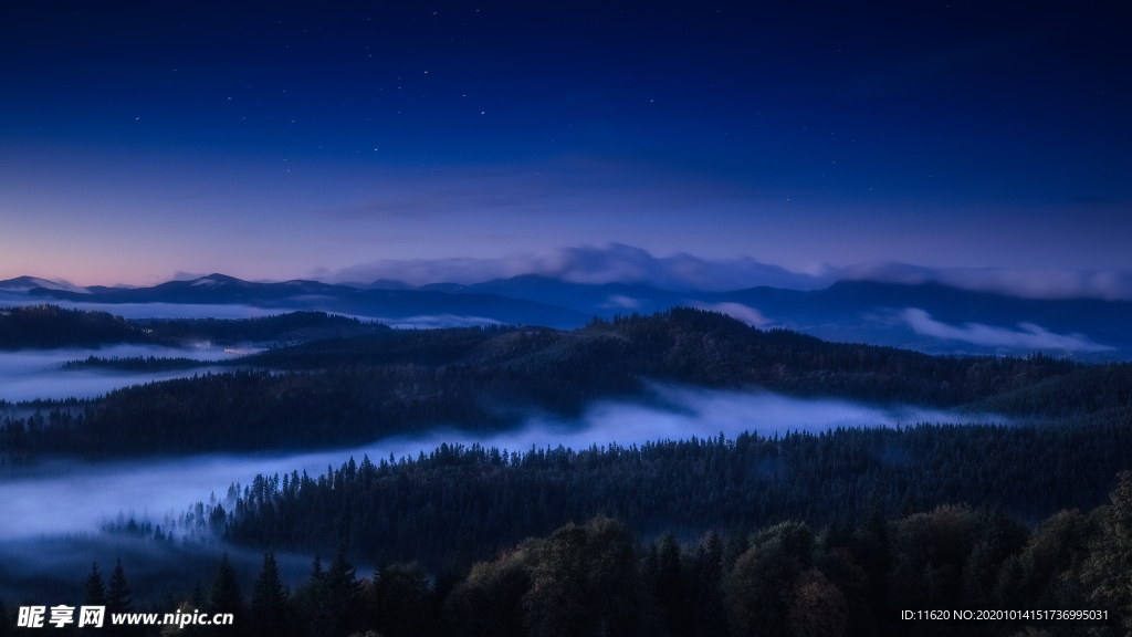 森林夜景