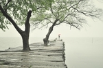 码头 雨 人伞水 古代 苏州