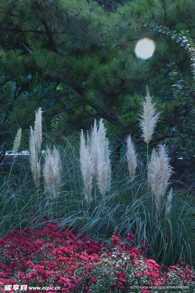 园林风景