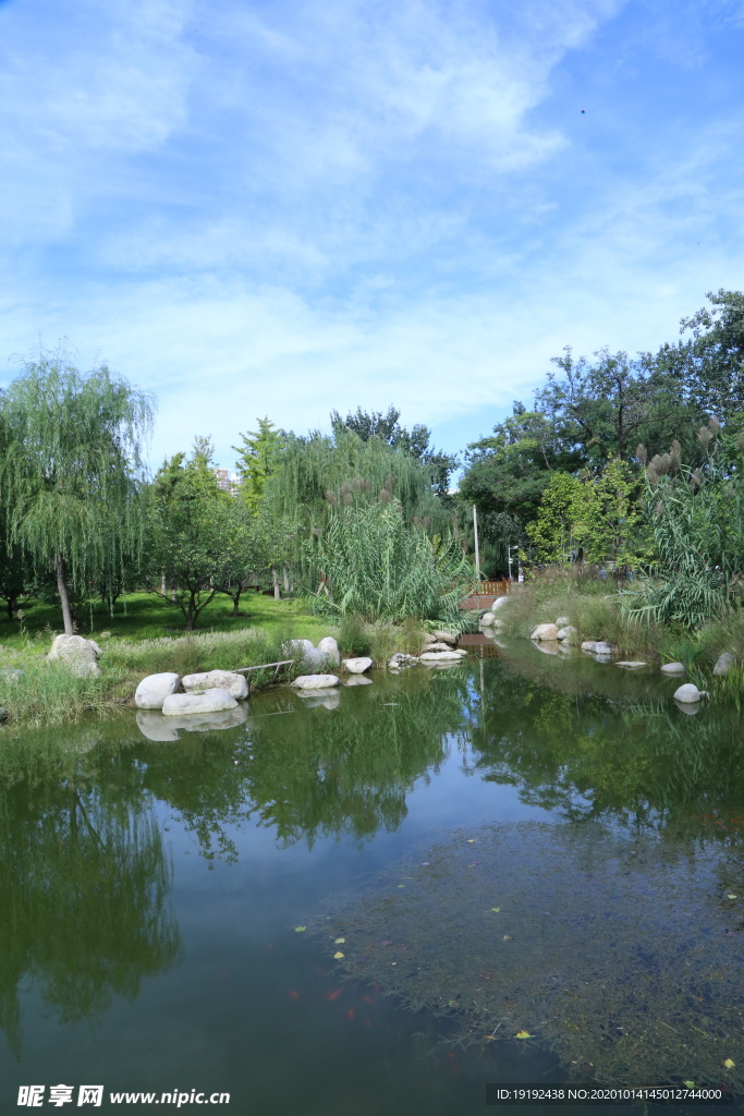 园林风景
