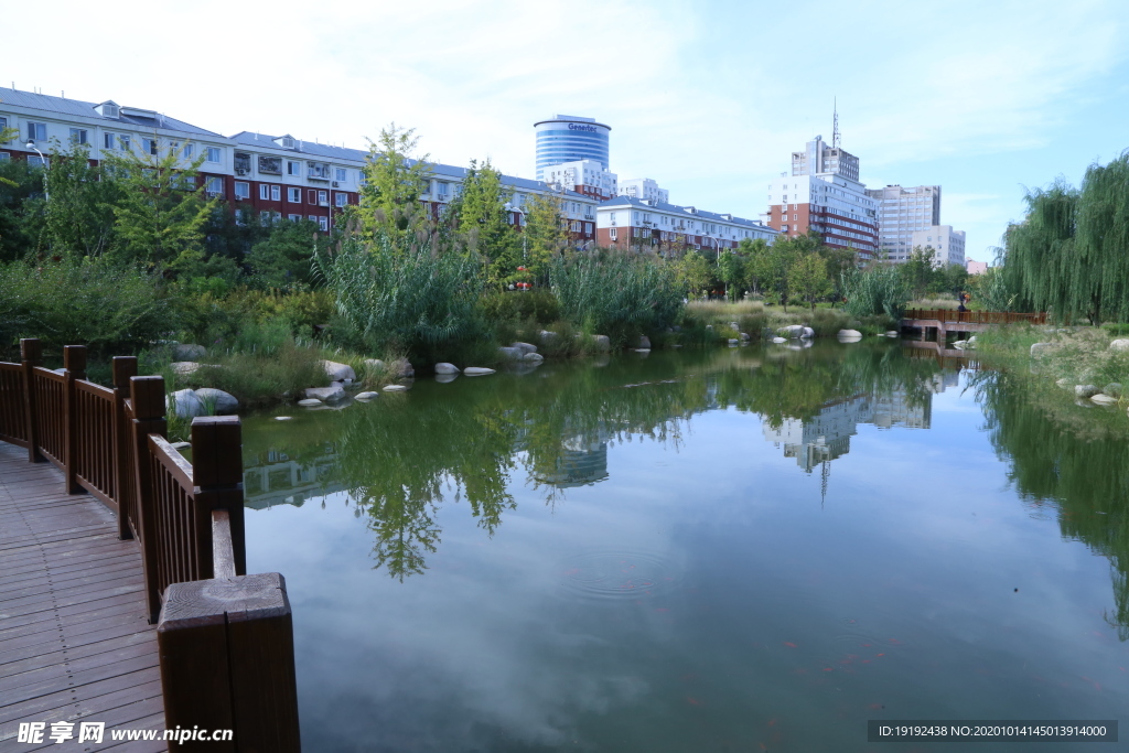 园林风景