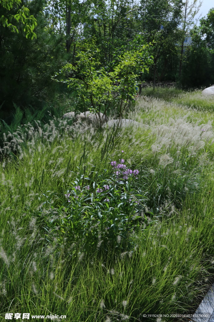 园林风景