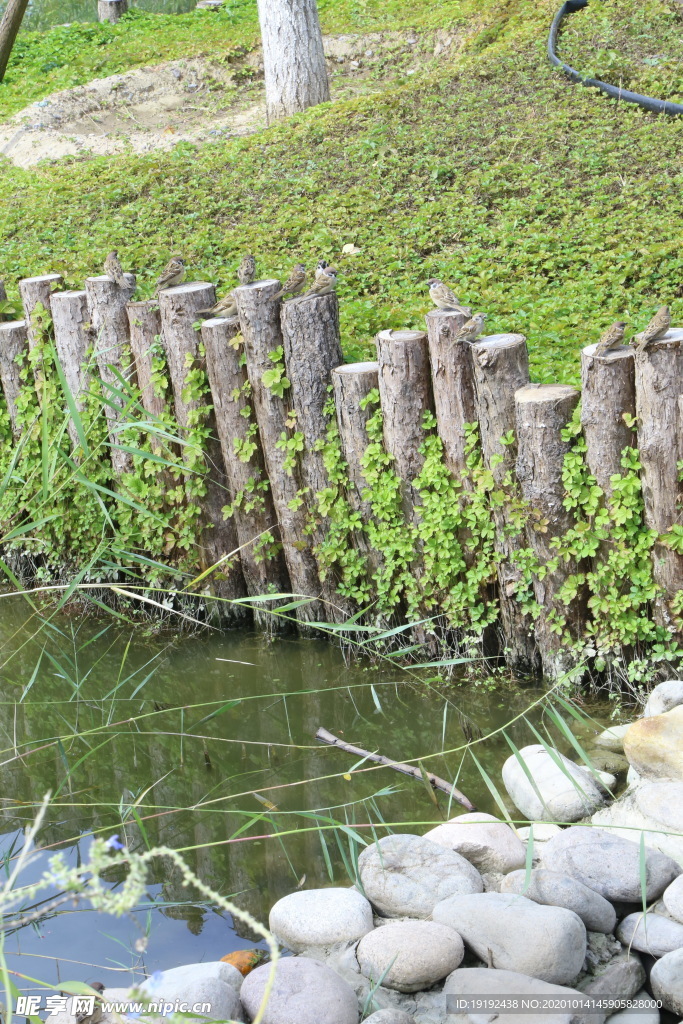 园林风景