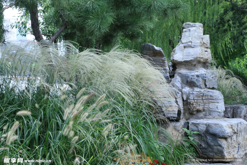 园林风景