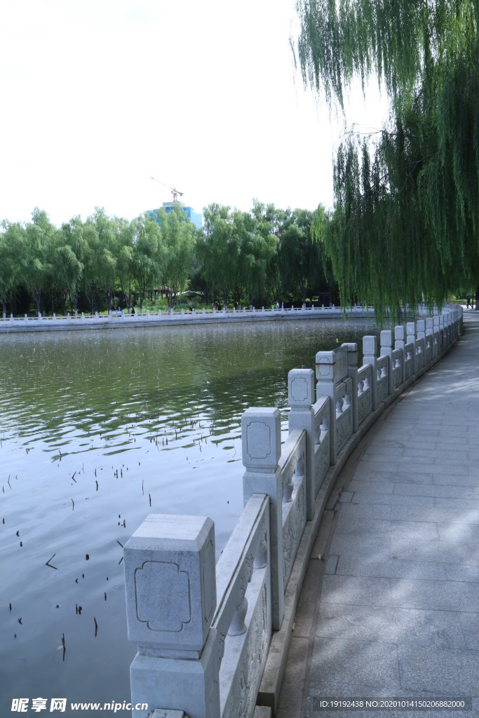 园林风景