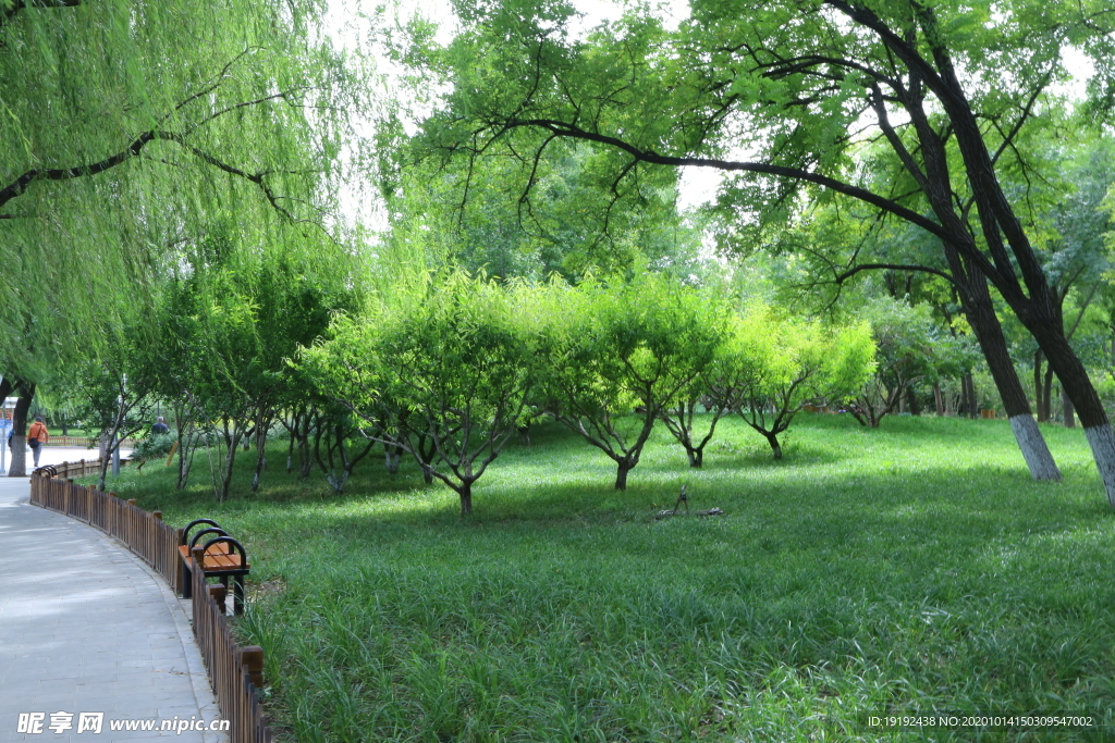园林风景