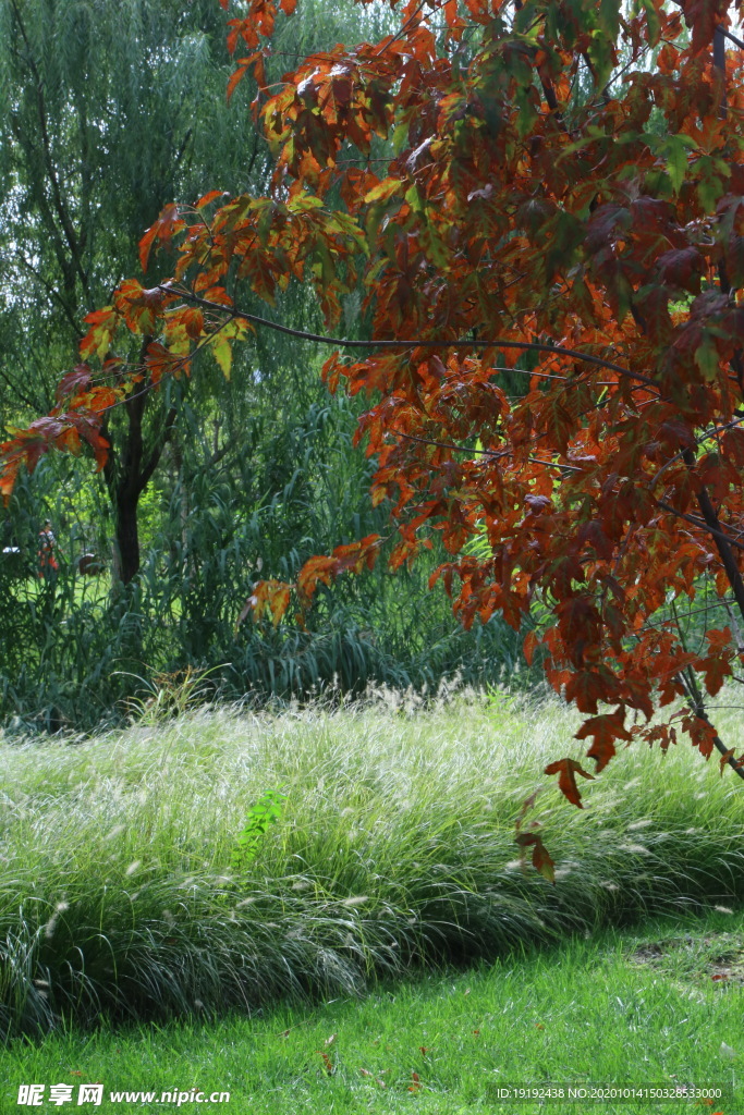园林风景