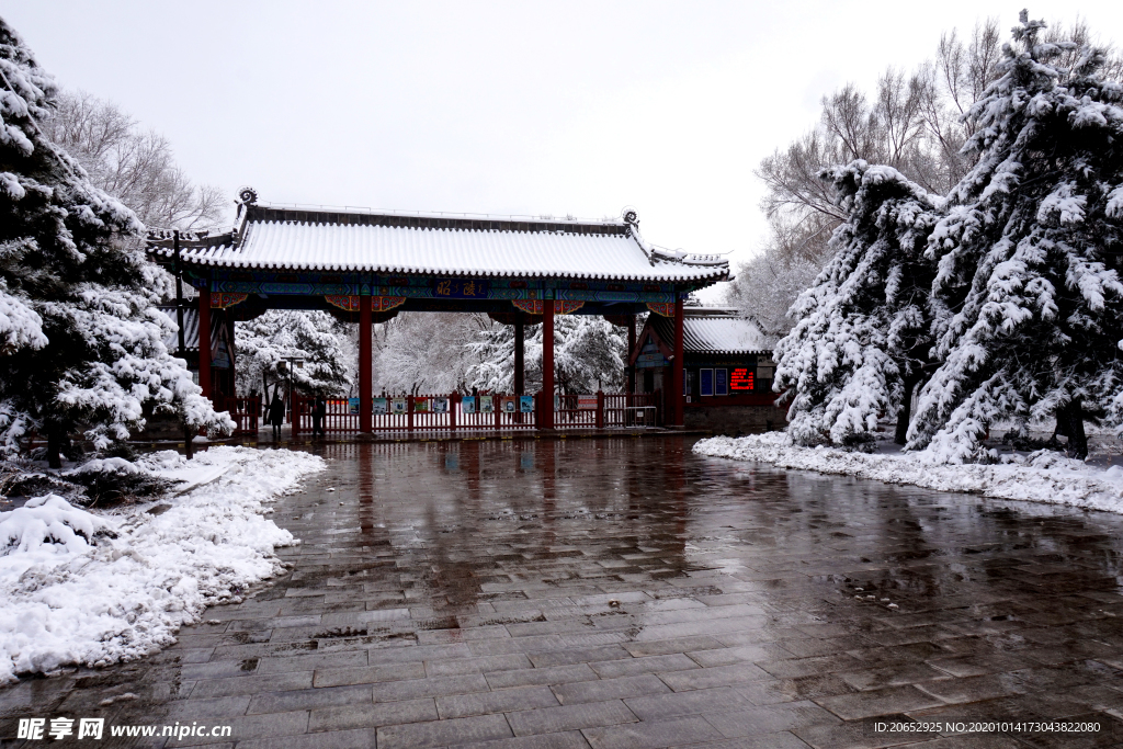 雪景