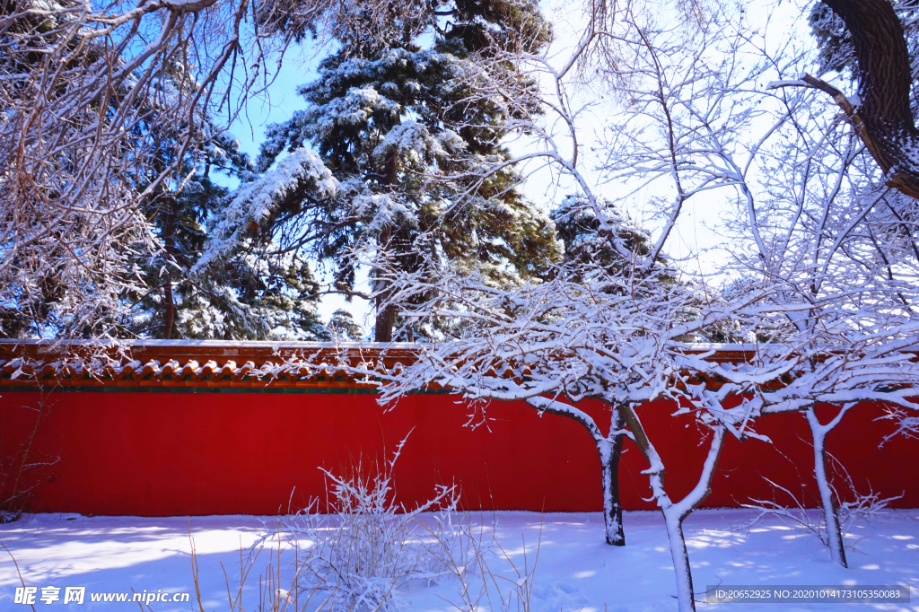 雪景