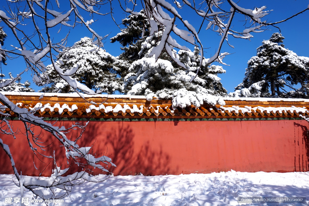 雪景