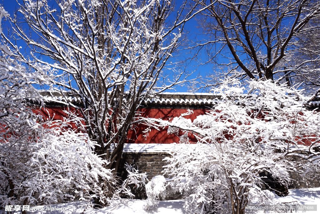 雪景