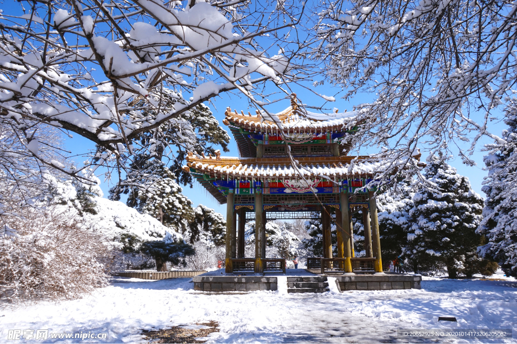 雪景