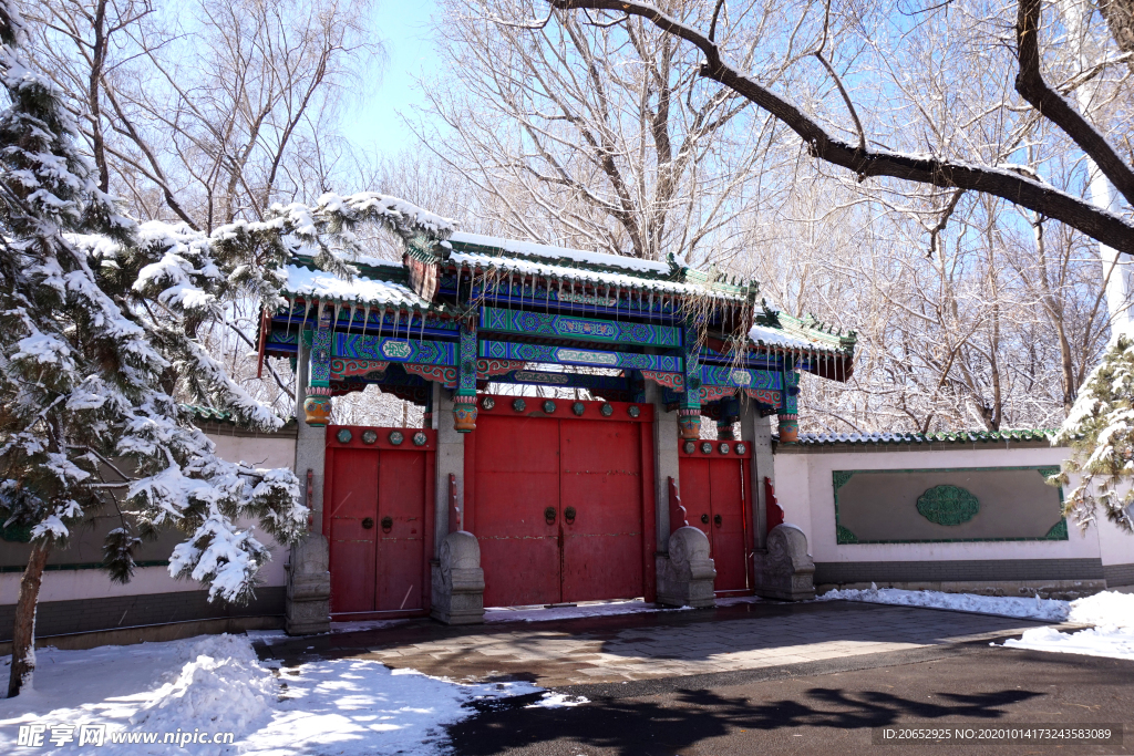 雪景