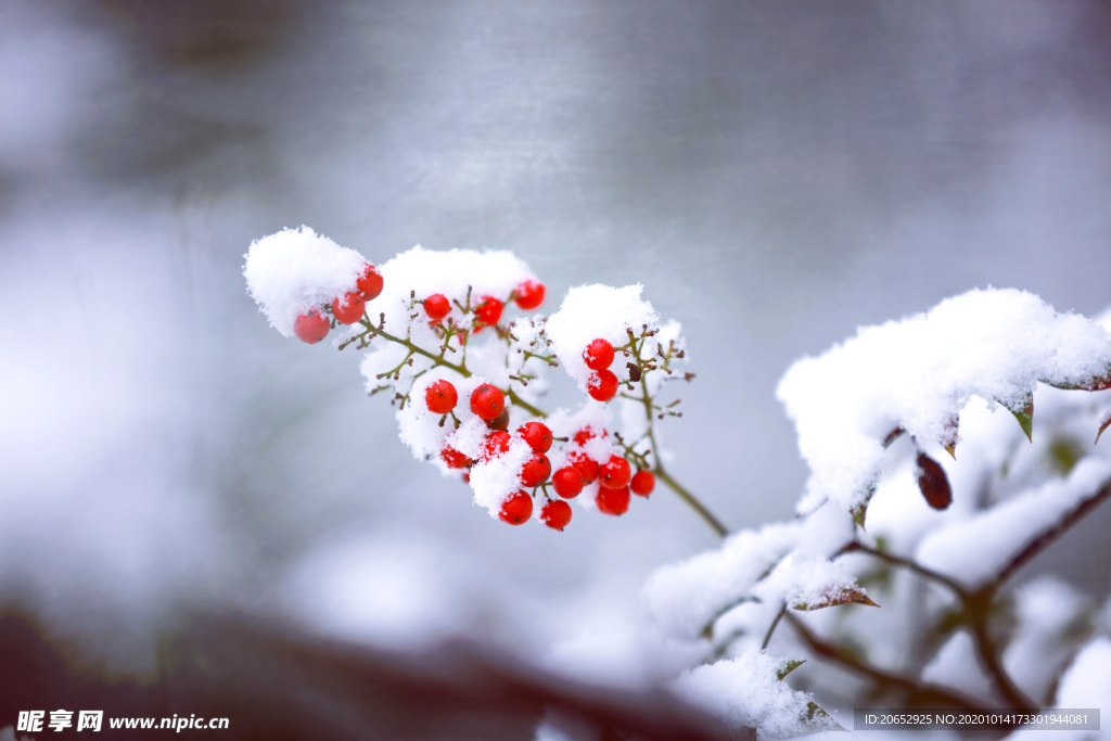 雪景