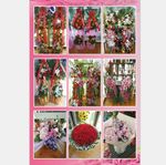 鲜花展示