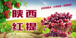 陕西红提