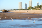 沙滩