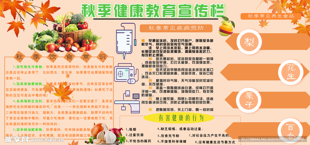 秋季健康教育宣传栏