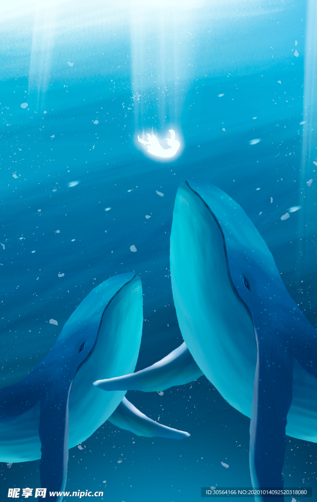 海洋鲸鱼清新插画卡通海报素材