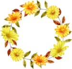 水彩花圈花环图案