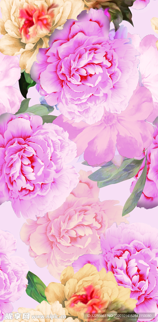 玫瑰花