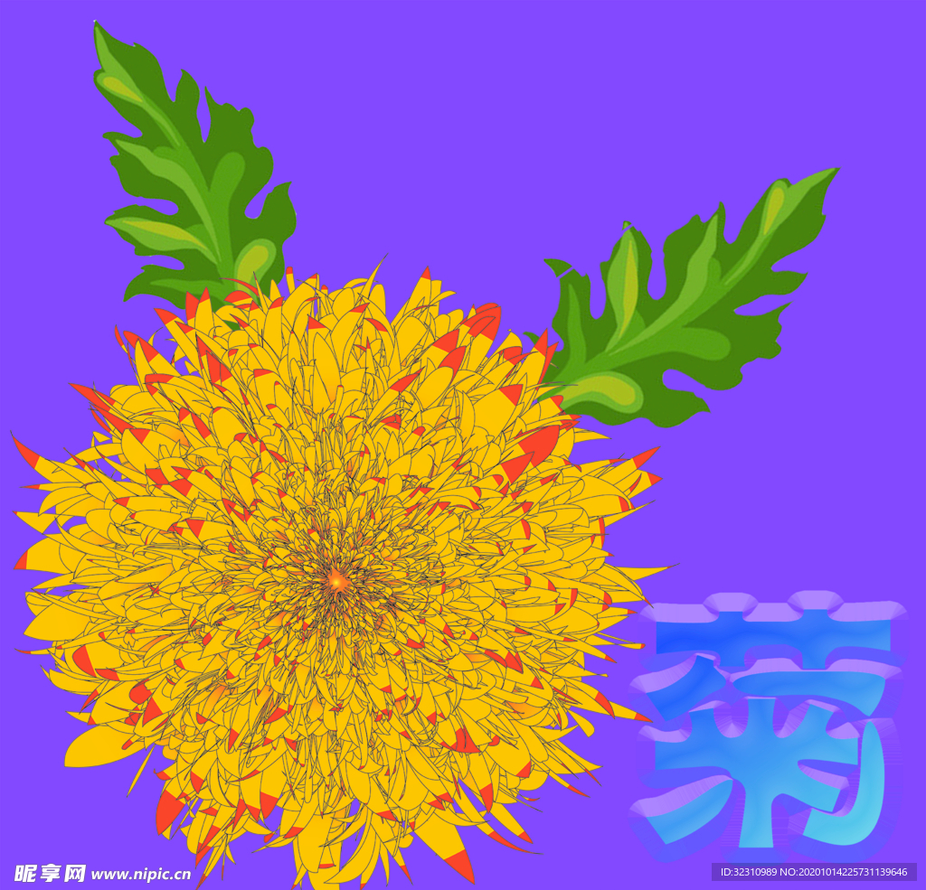菊