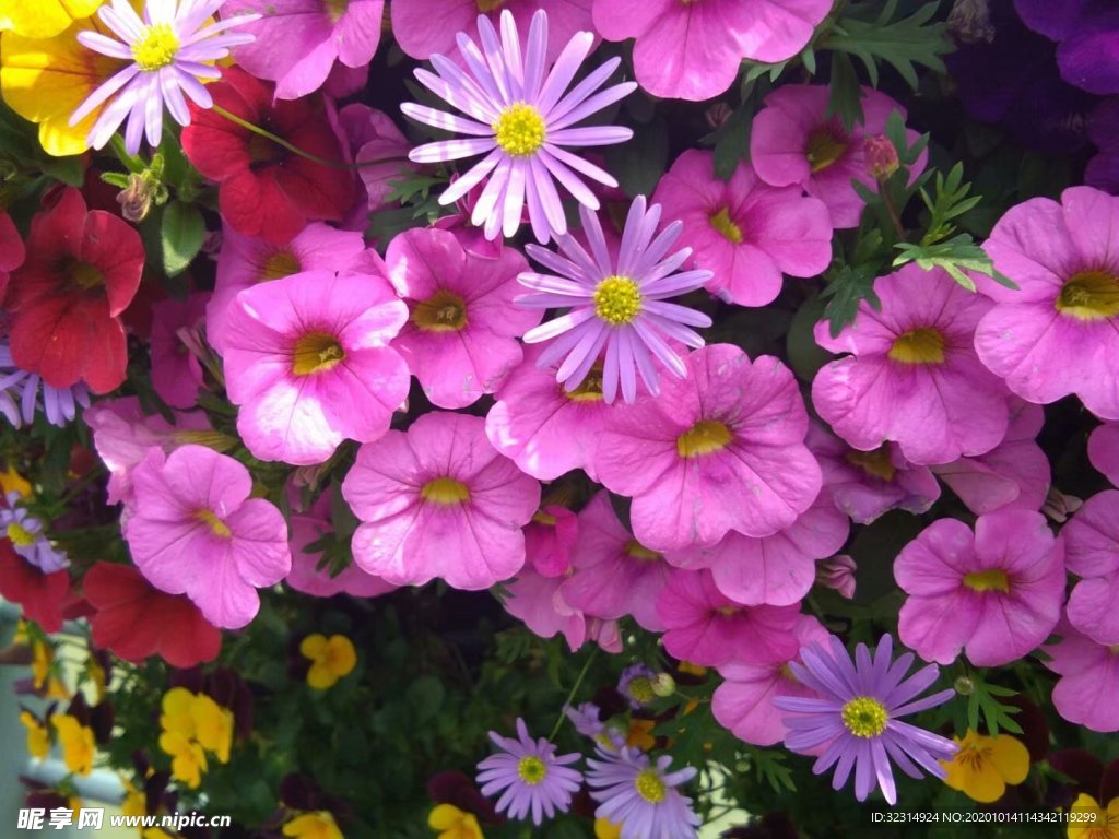 繁花