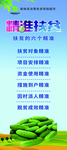扶贫