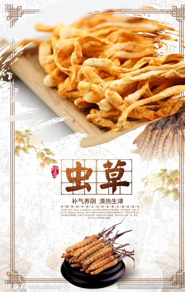 中国风虫草海报