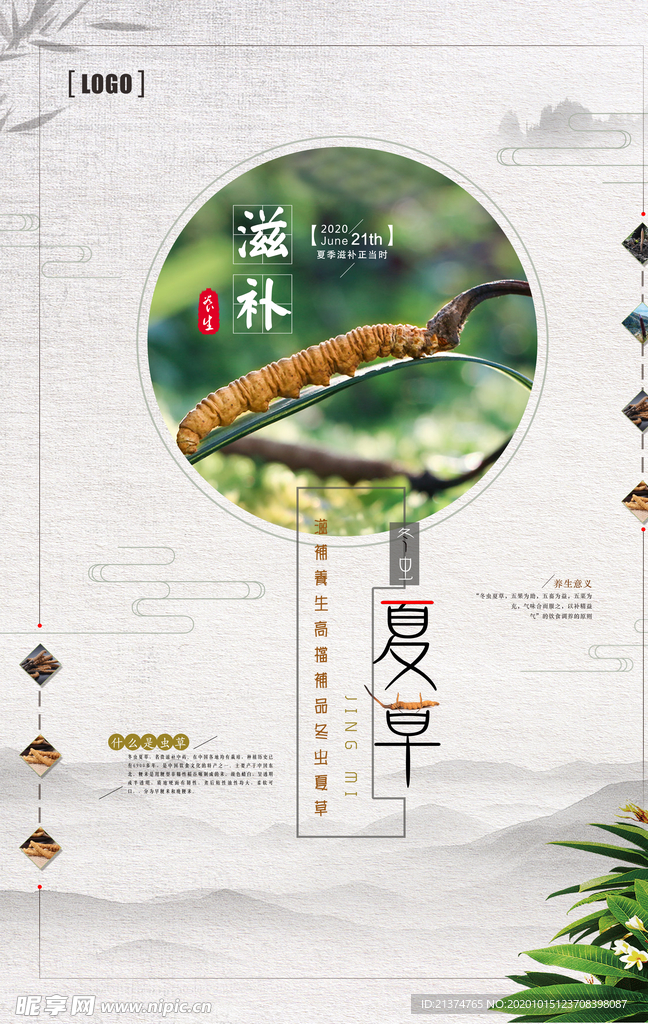 中国风中药文化冬虫夏草促销海报