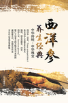 中药材西洋参海报