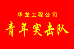 青年突击队队旗