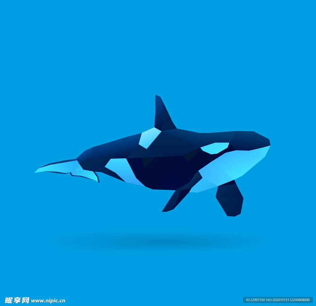 鲸鱼