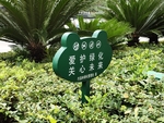 花草提示牌