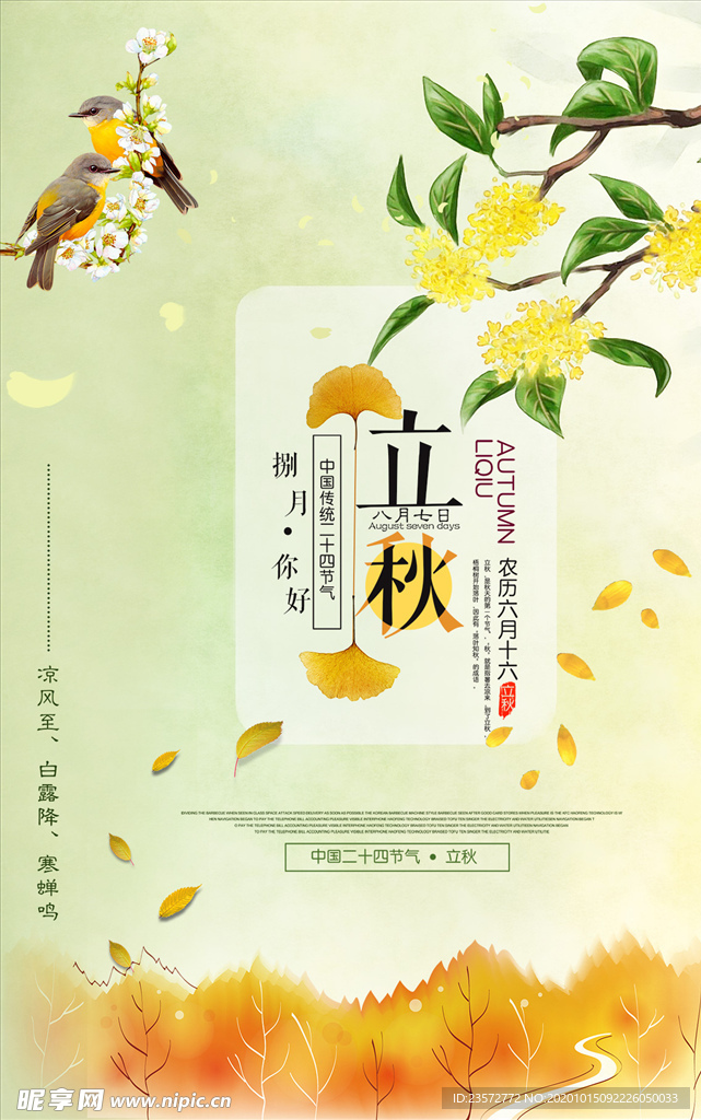 花鸟立秋节气海报