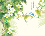 比翼鸟连理枝