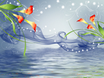 牵牛花纹理条纹