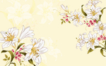 百合花水仙花墙纸壁画壁纸