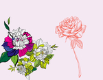 大花 玫瑰花