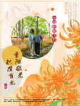 重阳节海报