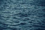 大海