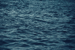 大海