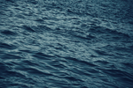 大海