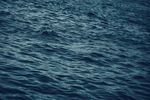 大海