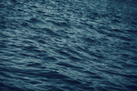 大海