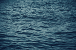 大海