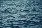 大海