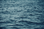 大海