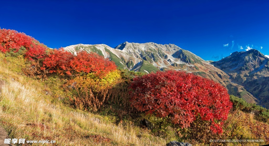 多山的景观